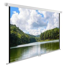  Экран Cactus 150x240см WallExpert CS-PSWE-240x150-WT 16:10 настенно-потолочный рулонный белый 
