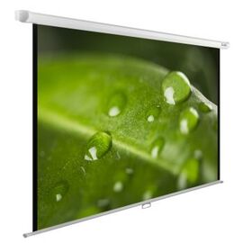 Экран Cactus 150x200см WallExpert CS-PSWE-200x150-WT 4:3 настенно-потолочный рулонный 
